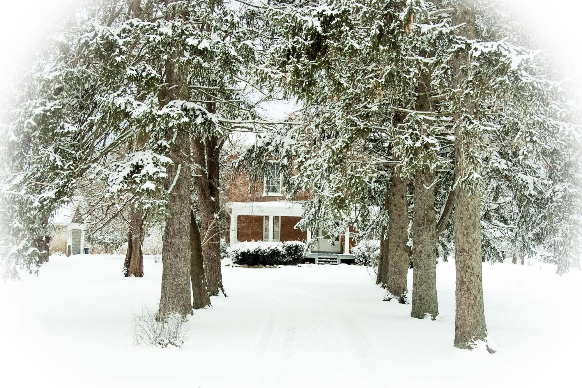 Culverdene House Simcoe Buitenkant foto
